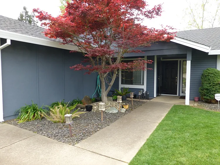123 McFarland Dr photo 1