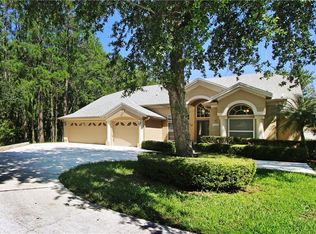 13203 Spring Haven Ct, Orlando, FL 32828