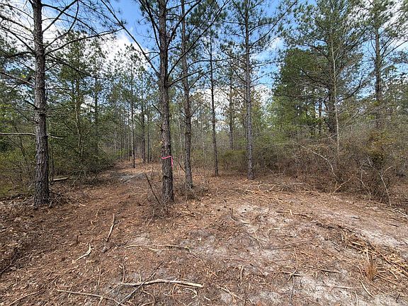 3rd image of Cva 1 Mount Calvary Rd #Cva-1