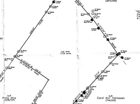 R08L10 Rt 219 - Main St Route, Sumner, ME 04220