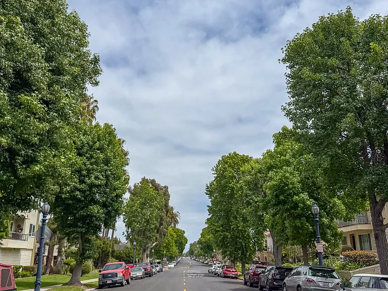 Tree-lined Bluff Park street just blocks from the ocean