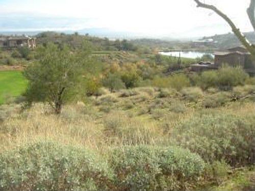 1st image of 9435 N Lava Bluff Trl