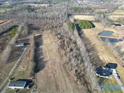 County Road 1597, Baileyton, AL, 35019
