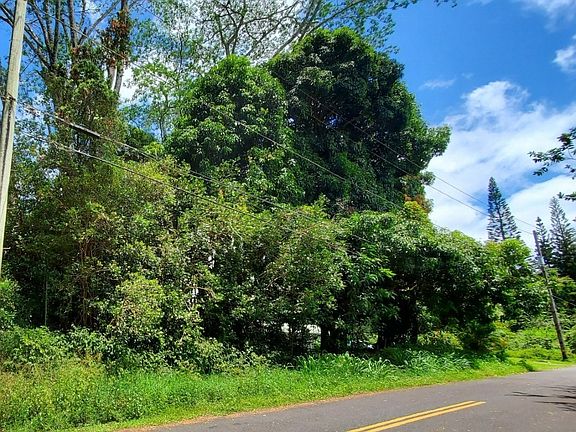 4th image of Honu St Lot 321