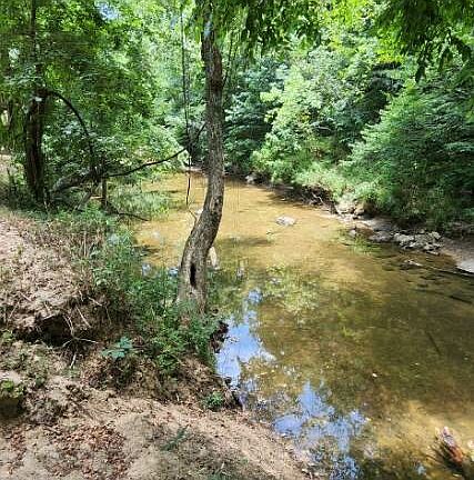 4th image of 88 Creekside Trl