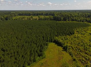 0 Palmetto Sands Rd, Branchville, SC 29432