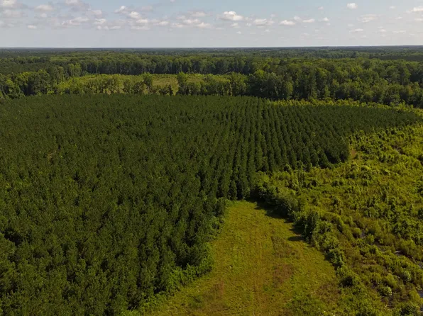 0 Palmetto Sands Rd, Branchville, SC 29432