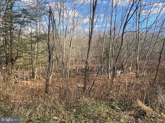 3rd image of Hartmansville Rd