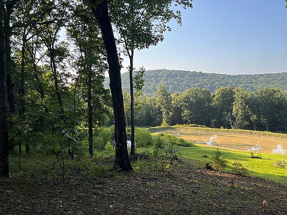 4th image of 17860 Ferry Rd