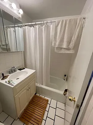 Rented by Manhattan Flats | media 9