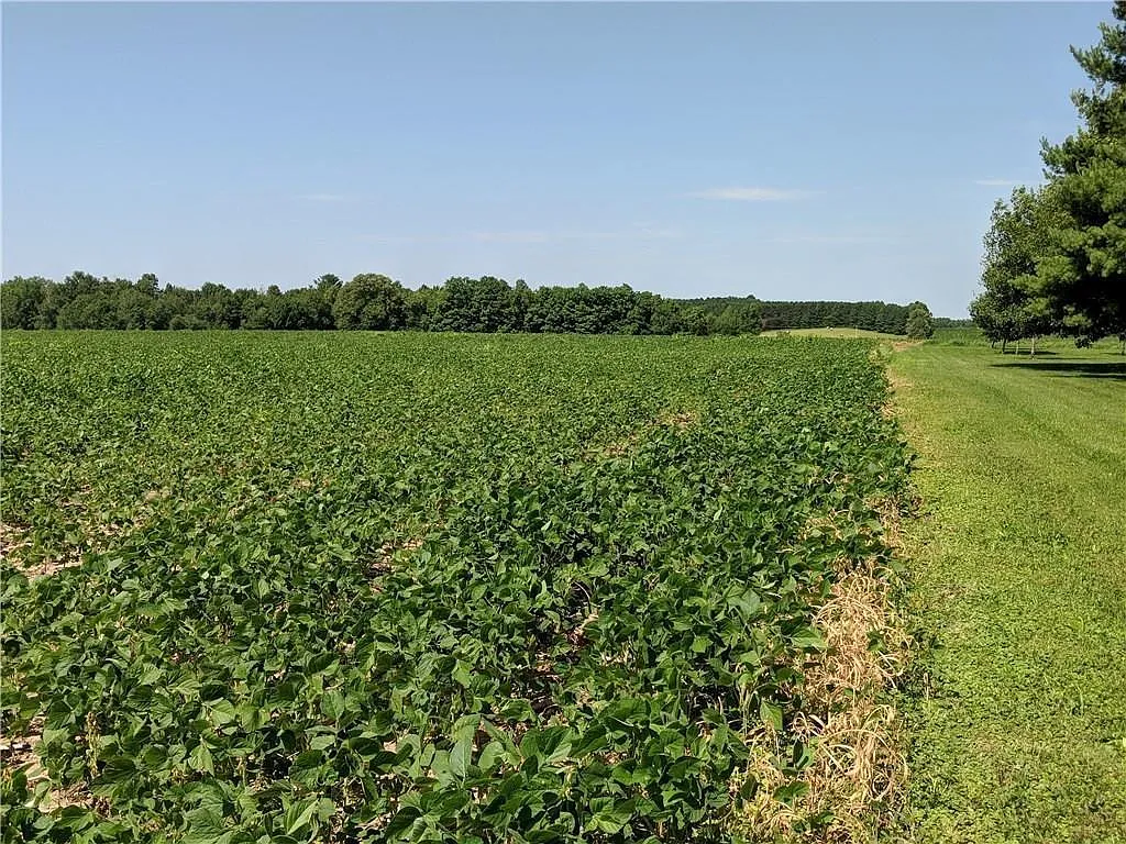 40 acres County Rd B West photo 1