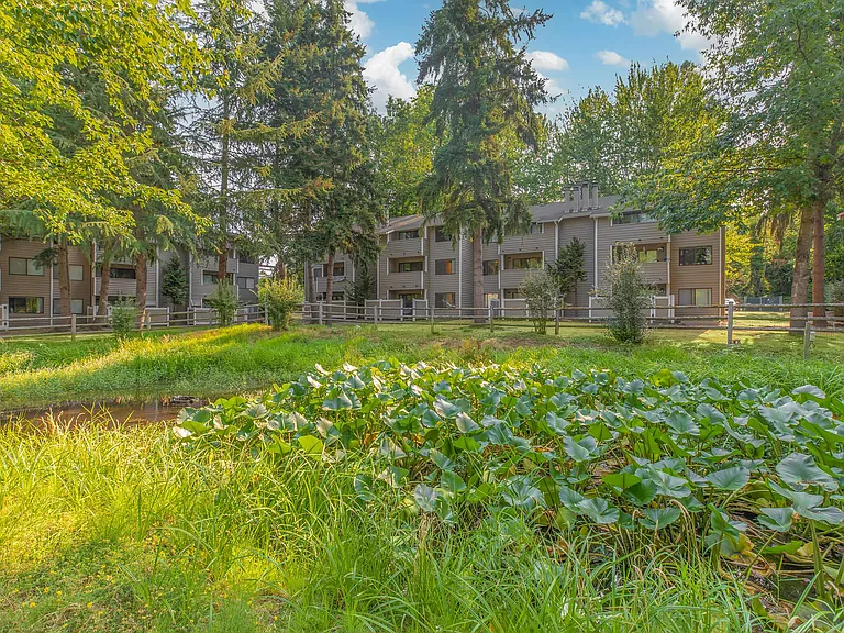 Pinewood Village Apartments — Photo 9