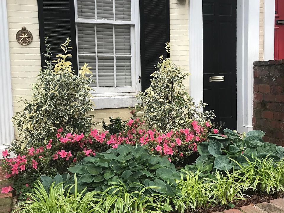 Garden at the front entrance