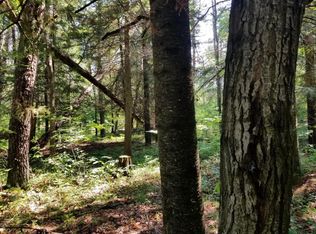 1532 Pierce Rd, Mio, MI 48647