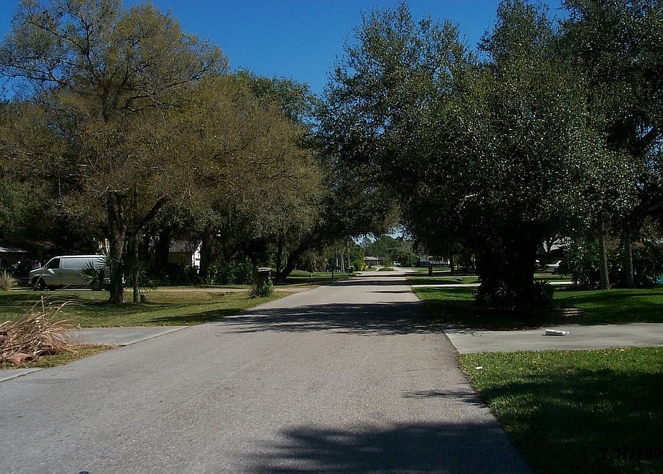 the neighborhood 