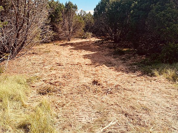 2nd image of 1301 Private Road 2120