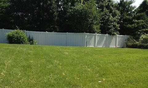 Back Yard View