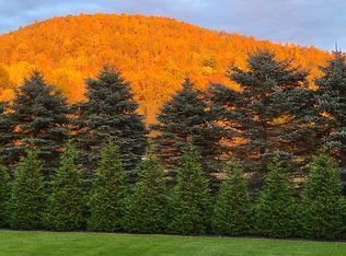 415 State Rte, Campbell, NY 14821