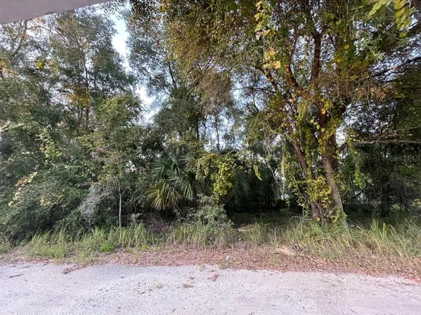 NE 132nd St #94, Fort Mc Coy, FL 32134
