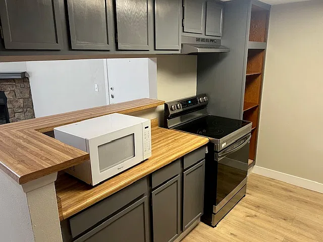 2 bed, 1020 sqft, $1,950 — Photo 3