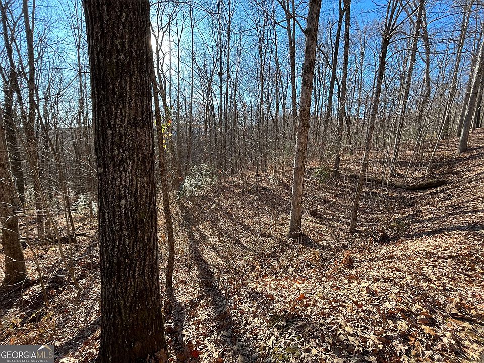1st image of LOT 2 Forest Canopy Way