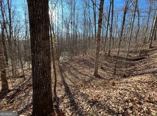 LOT 2 Forest Canopy Way, Clayton, GA 30525