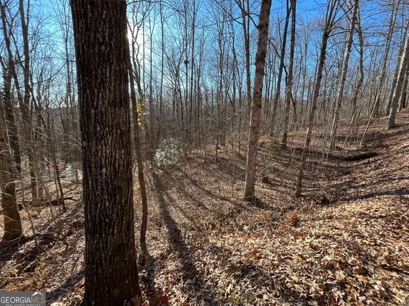 LOT 2 Forest Canopy Way, Clayton, GA 30525
