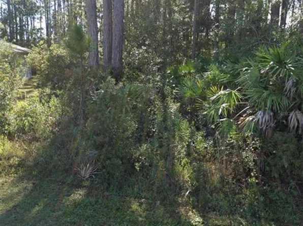 31 Red Clover Ln Lot 23, Palm Coast, FL 32164