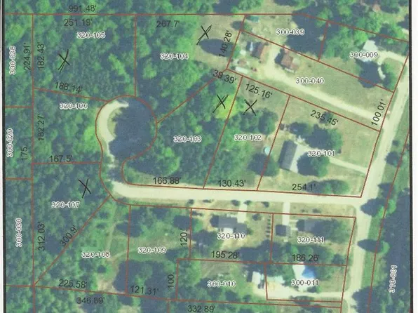 6206 Lambert Dr, Alanson, MI 49706