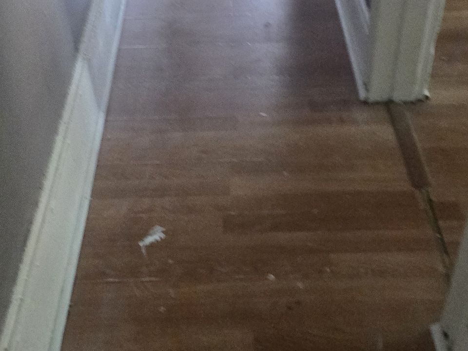 1st image of 100 W Douglass St #2