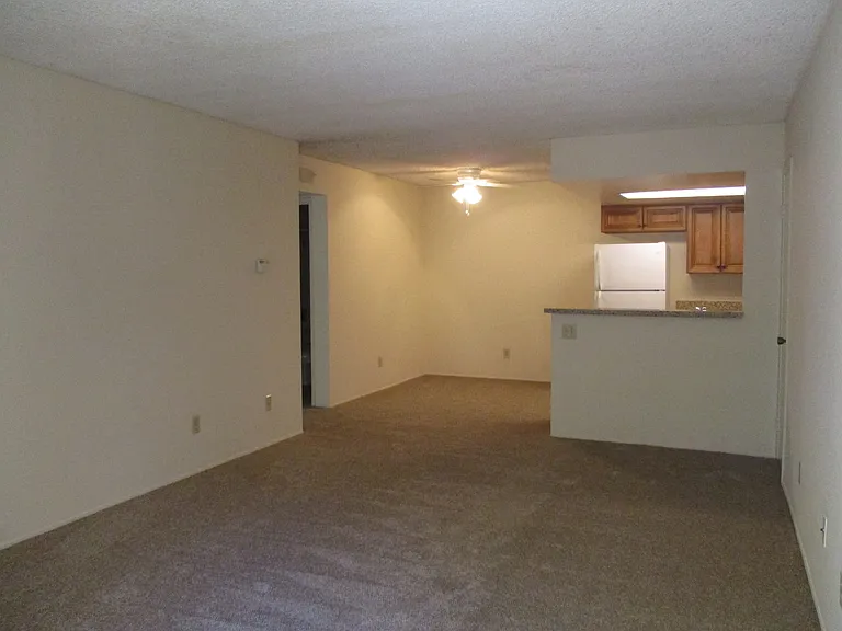 426 Ammunition Rd — Photo 22