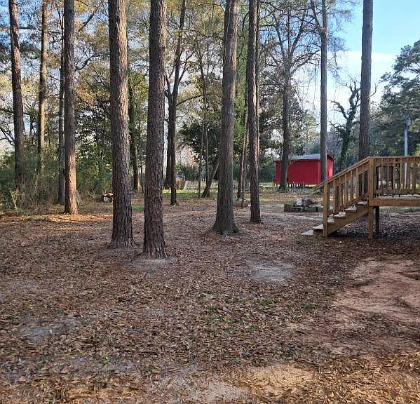 Rose Ln — Photo 3