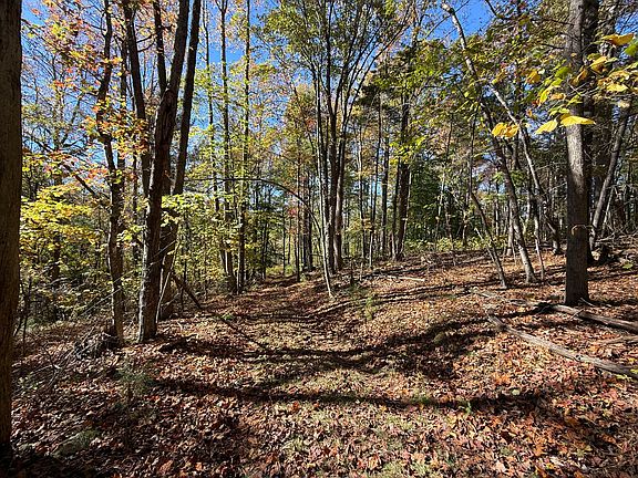 4th image of 8062 Sugar Run Rd NE