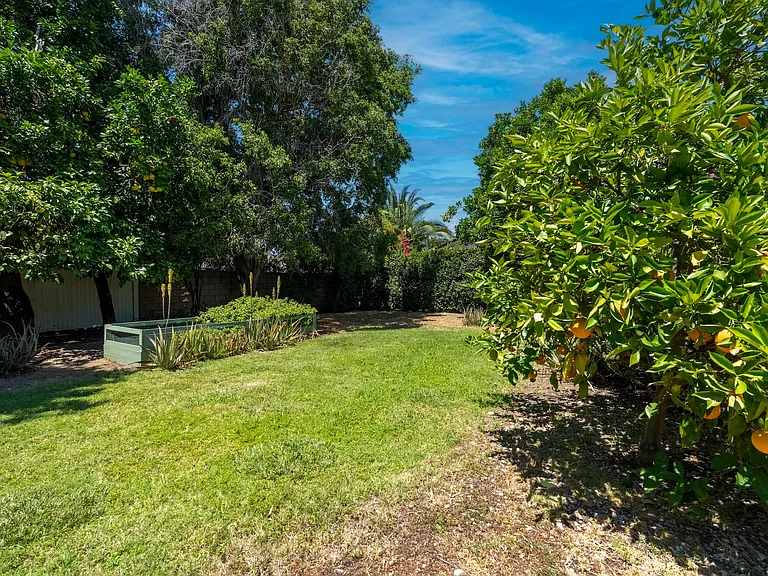 33 Fruit Trees