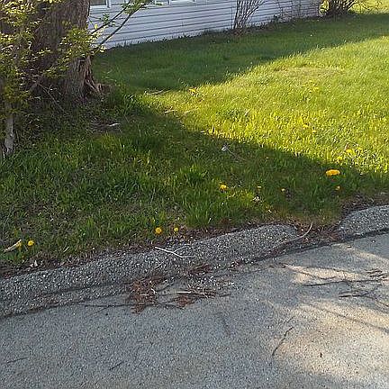 2nd image of 806 Clover Ln