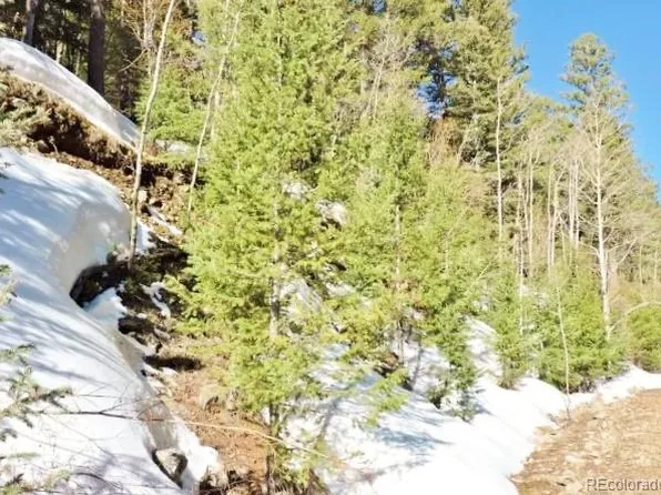 6186 Ryland Road LOT 6186, Fort Garland, CO 81133
