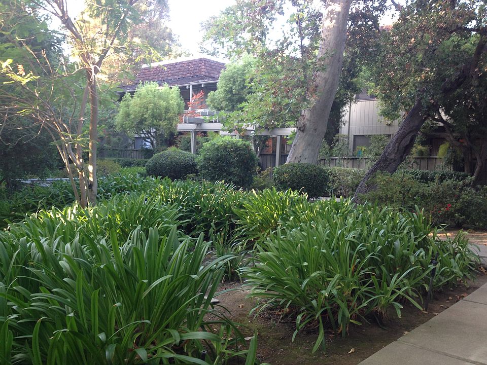 Community Landscape