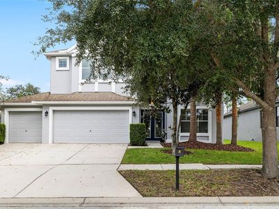 15629 Starling Water Dr, Lithia, FL, 33547