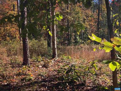 LOT A1 Broad Axe Rd, Charlottesville, VA, 22903