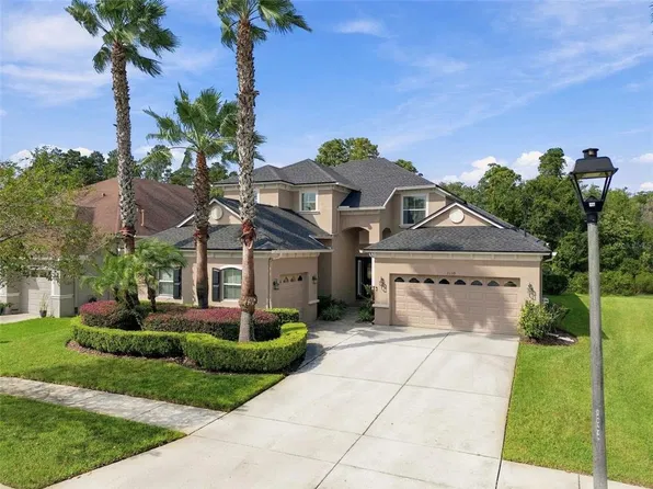 3339 DIAMOND FALLS CIRCLE, LAND O LAKES, FL 34638