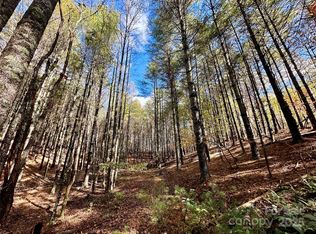 146 Bream Flats Dr #40, Nebo, NC 28761