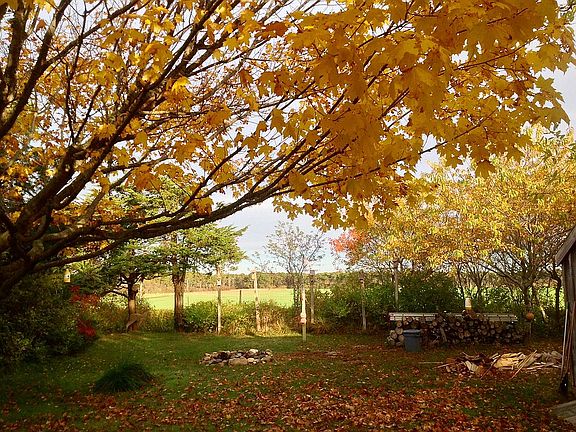 Fall