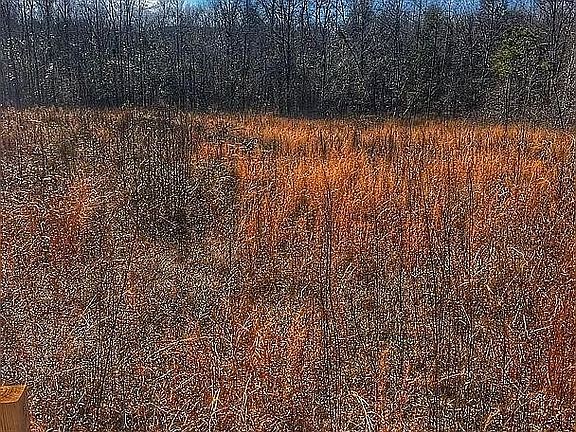 5th image of 18 Seneca Trl