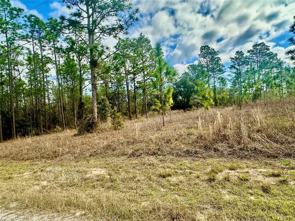 LOT 41 SE 131st Ter Lot 41, Dunnellon, FL 34431