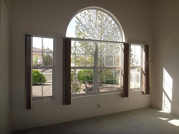 Living Room Windows