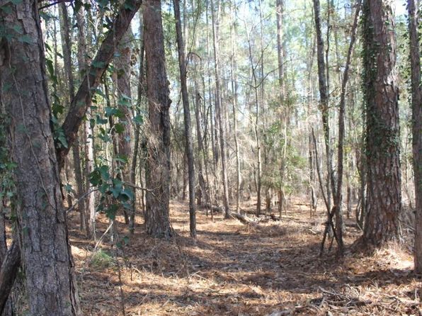 LOT 52 Dellwood Dr, Americus, GA 31709
