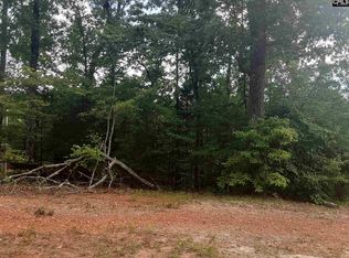 310 Trent Ct, Irmo, SC 29063