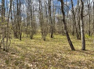 Peacock Rd, Wellston, MI 49689