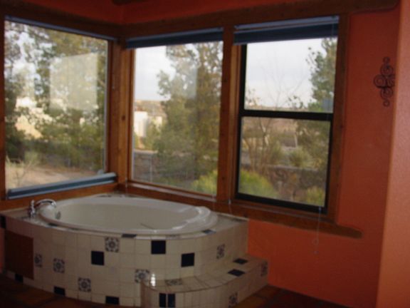 Master bath tub