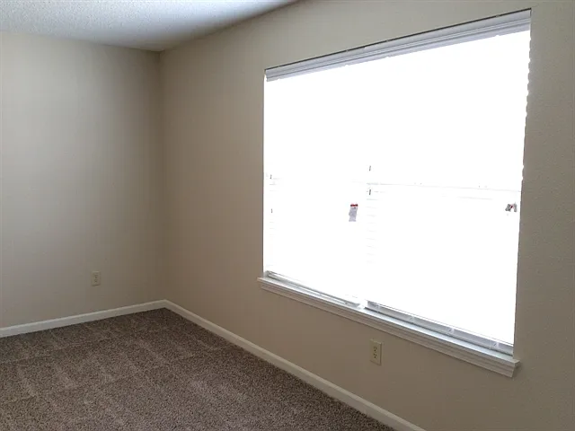10313 Cerulean Dr — Photo 6